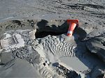 IMG 3165