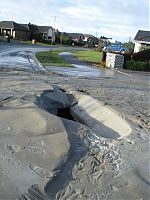 IMG 3103