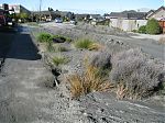 IMG 3235
