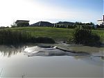 IMG 3195