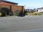 IMG 3131