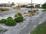 IMG 3082